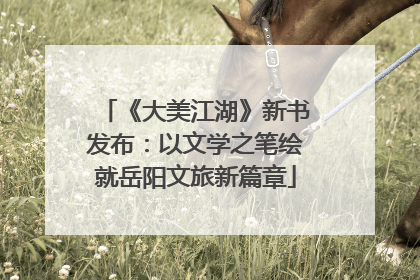 《大美江湖》新书发布：以文学之笔绘就岳阳文旅新篇章