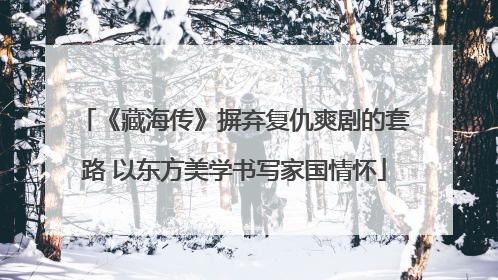《藏海传》摒弃复仇爽剧的套路 以东方美学书写家国情怀