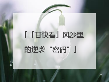 「甘快看」风沙里的逆袭“密码”