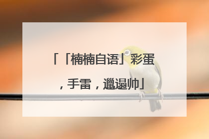 「楠楠自语」彩蛋，手雷，邋遢帅