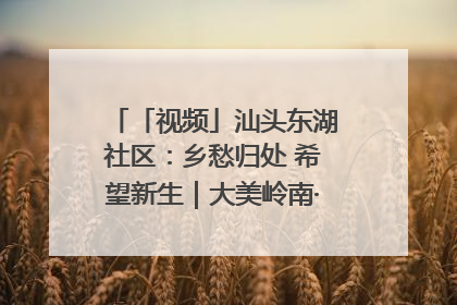 「视频」汕头东湖社区：乡愁归处 希望新生｜大美岭南·百村焕新记
