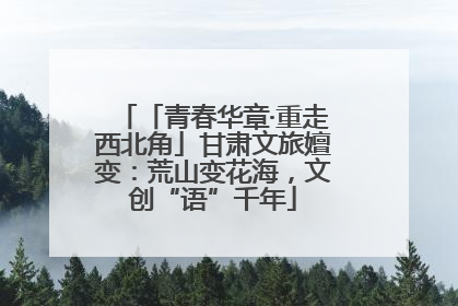 「青春华章·重走西北角」甘肃文旅嬗变：荒山变花海，文创“语”千年