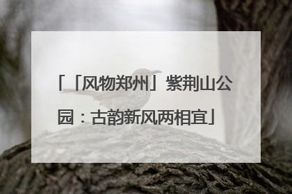 「风物郑州」紫荆山公园：古韵新风两相宜
