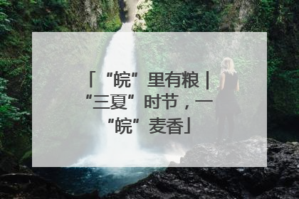 “皖”里有粮｜“三夏”时节，一“皖”麦香