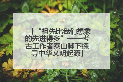 “祖先比我们想象的先进得多”——考古工作者泰山脚下探寻中华文明起源