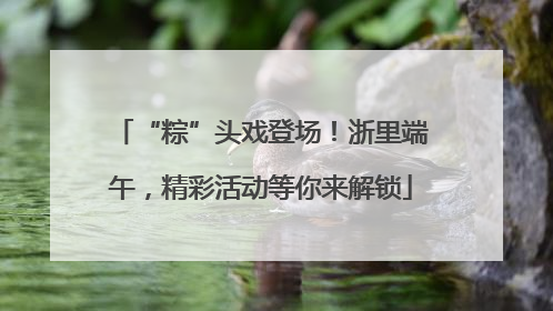 “粽”头戏登场！浙里端午，精彩活动等你来解锁