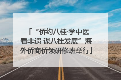 “侨约八桂·学中医 看非遗 谋八桂发展”海外侨商侨领研修班举行