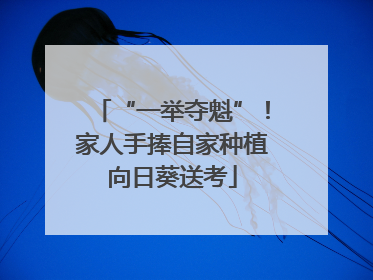 “一举夺魁”！家人手捧自家种植向日葵送考