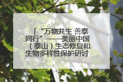 “万物共生 善泰同行”——美丽中国（泰山）生态修复和生物多样性保护研讨会成功举办