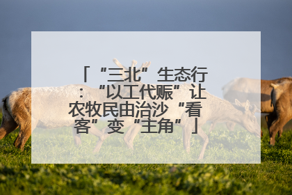 “三北”生态行：“以工代赈”让农牧民由治沙“看客”变“主角”
