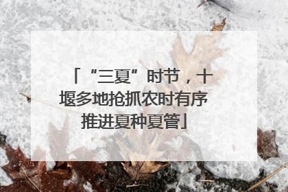 “三夏”时节，十堰多地抢抓农时有序推进夏种夏管