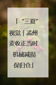 “三夏”视觉｜孟州麦收正当时 机械减损保归仓