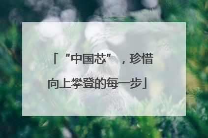 “中国芯”，珍惜向上攀登的每一步