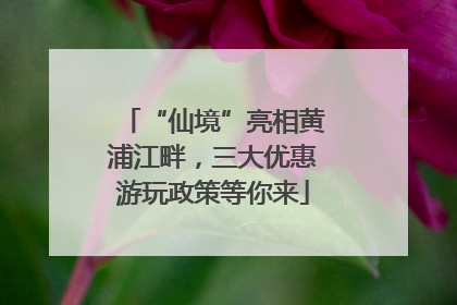 “仙境”亮相黄浦江畔，三大优惠游玩政策等你来