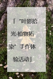 “叶影拾光·植物拓染”手作体验活动