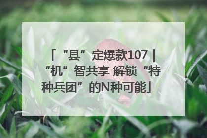 “县”定爆款107｜“机”智共享 解锁“特种兵团”的N种可能