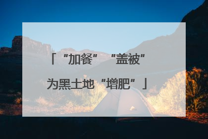 “加餐”“盖被” 为黑土地“增肥”