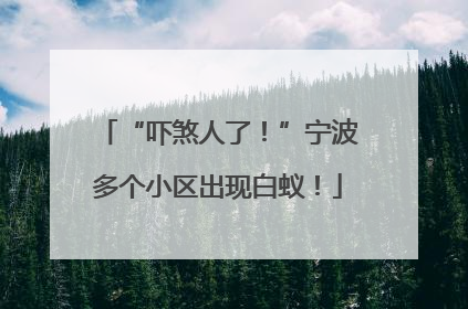 “吓煞人了！”宁波多个小区出现白蚁！