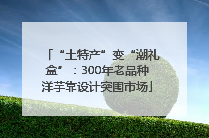 “土特产”变“潮礼盒”：300年老品种洋芋靠设计突围市场