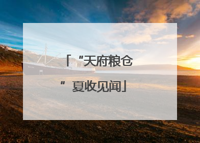 “天府粮仓”夏收见闻