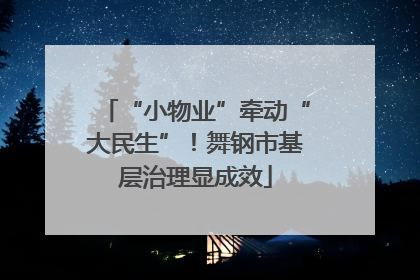 “小物业”牵动“大民生”！舞钢市基层治理显成效