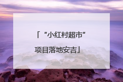 “小红村超市”项目落地安吉