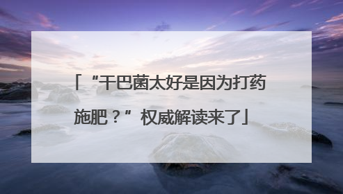 “干巴菌太好是因为打药施肥？”权威解读来了