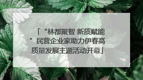 “林都聚智 新质赋能”民营企业家助力伊春高质量发展主题活动开幕