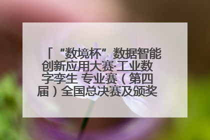 “数境杯”数据智能创新应用大赛·工业数字孪生 专业赛（第四届）全国总决赛及颁奖典礼成功举办