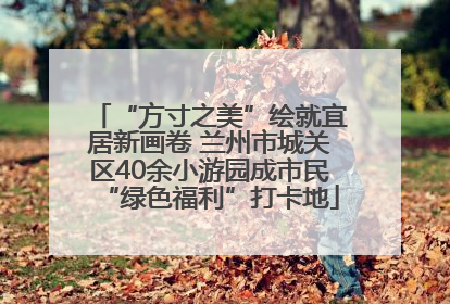 “方寸之美”绘就宜居新画卷 兰州市城关区40余小游园成市民“绿色福利”打卡地