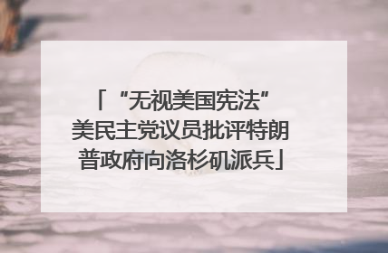 “无视美国宪法” 美民主党议员批评特朗普政府向洛杉矶派兵