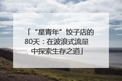 “星青年”饺子店的80天：在波浪式流量中探索生存之道