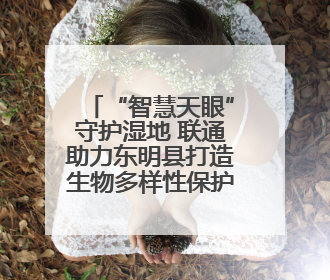“智慧天眼”守护湿地 联通助力东明县打造生物多样性保护新范式