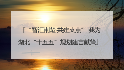 “智汇荆楚·共建支点” 我为湖北“十五五”规划建言献策