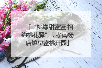 “桃缘甜蜜蜜·相约桃花驿”，孝南杨店镇早蜜桃开园