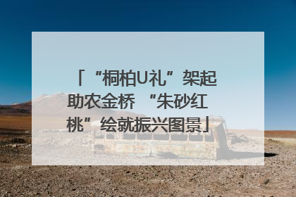 “桐柏U礼”架起助农金桥 “朱砂红桃”绘就振兴图景