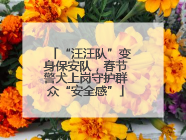 “汪汪队”变身保安队，春节警犬上岗守护群众“安全感”