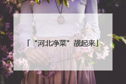 “河北净菜”靓起来