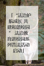 “法治护航成长 共建和谐校园” 法治教育进校园系列普法活动启动