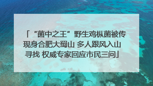 “菌中之王”野生鸡枞菌被传现身合肥大蜀山 多人跟风入山寻找 权威专家回应市民三问