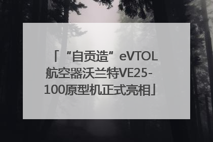 “自贡造”eVTOL航空器沃兰特VE25-100原型机正式亮相