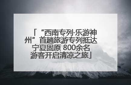 “西南专列·乐游神州”首趟旅游专列抵达宁夏固原 800余名游客开启清凉之旅