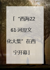 “西海2261·河湟文化大集”在西宁开幕