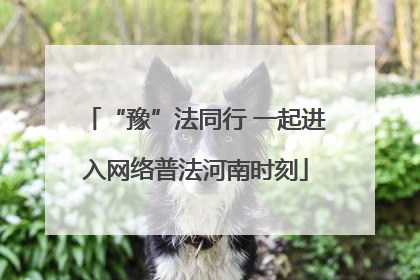“豫”法同行 一起进入网络普法河南时刻
