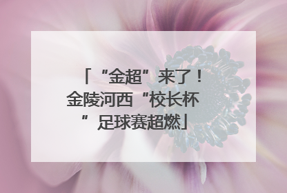 “金超”来了！金陵河西“校长杯”足球赛超燃