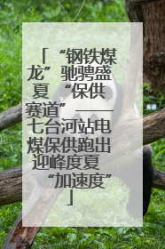 “钢铁煤龙”驰骋盛夏 “保供赛道”——七台河站电煤保供跑出迎峰度夏 “加速度”