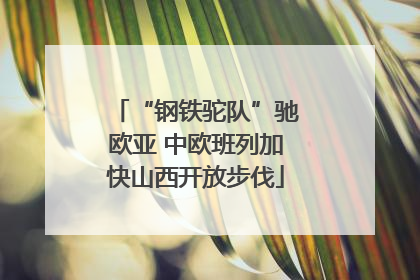 “钢铁驼队”驰欧亚 中欧班列加快山西开放步伐