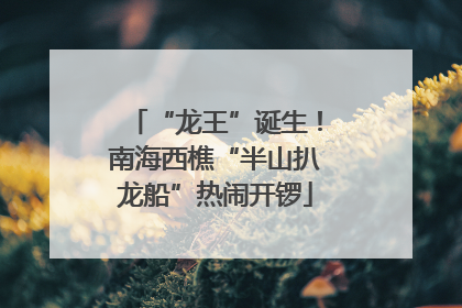 “龙王”诞生！南海西樵“半山扒龙船”热闹开锣