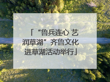 “鲁兵连心 艺润草湖”齐鲁文化进草湖活动举行