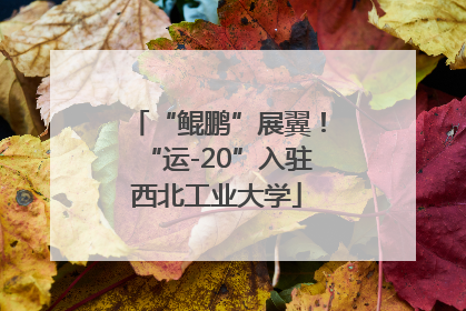 “鲲鹏”展翼！“运-20”入驻西北工业大学
